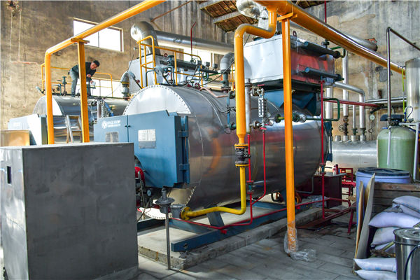 3噸供學(xué)生們喝水洗浴用的燃氣鍋爐