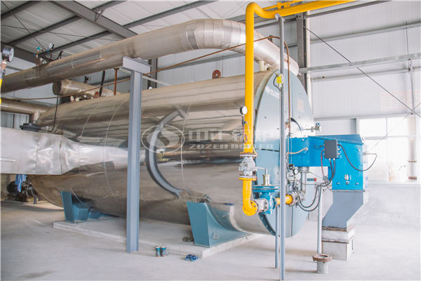 10噸燃煤蒸汽鍋爐改造燃?xì)忮仩t