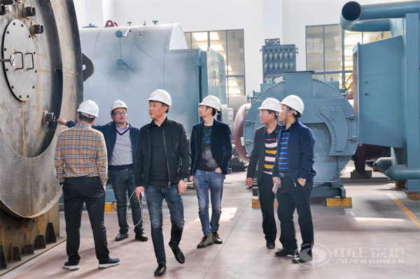 生物質(zhì)循環(huán)流化床鍋爐