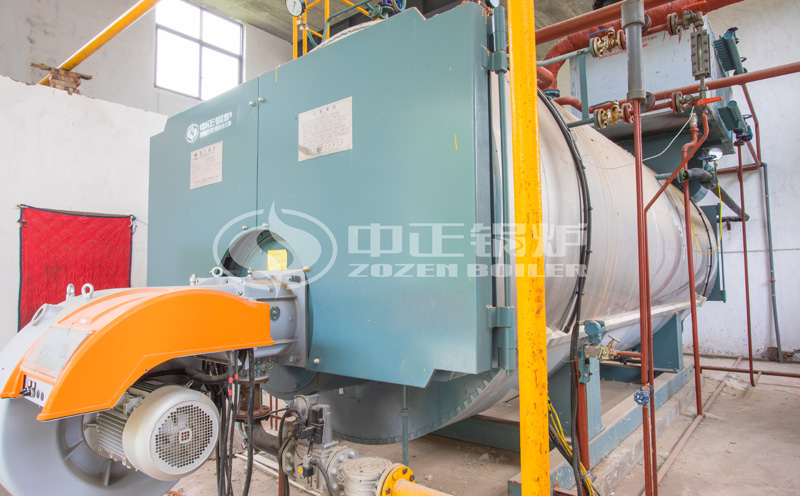 撬裝式雙排鍋爐安全嗎視頻客戶案例圖片