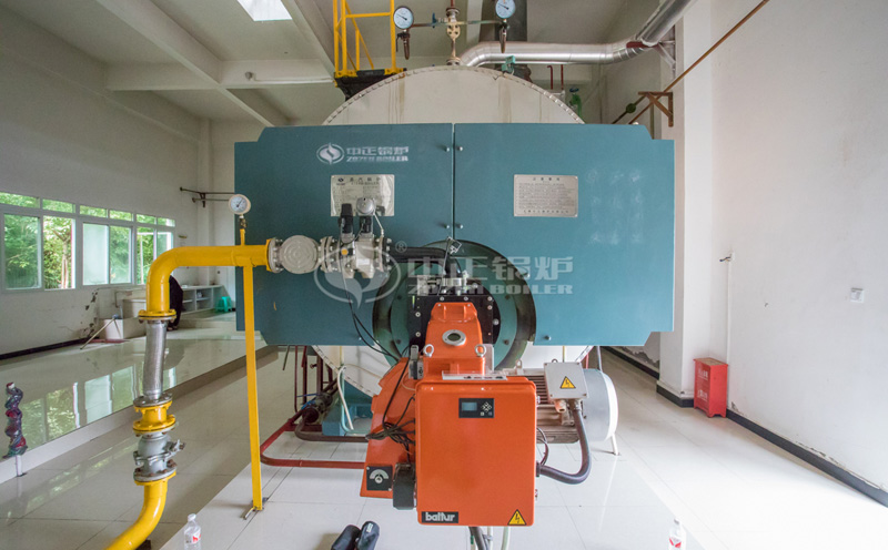 大型撬裝鍋爐價(jià)格多少一臺(tái)客戶案例圖片