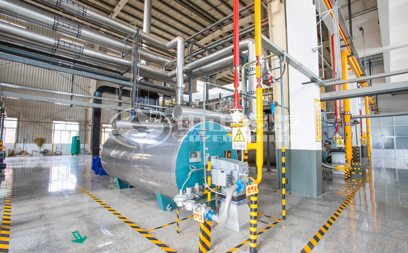 什么是生物質(zhì)蒸汽鍋爐燒什么燃料?客戶案例圖片