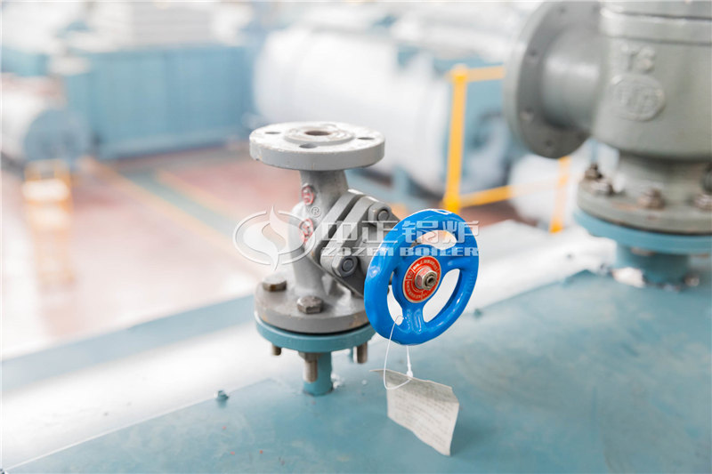 小型天然氣蒸汽鍋爐大廠(chǎng)