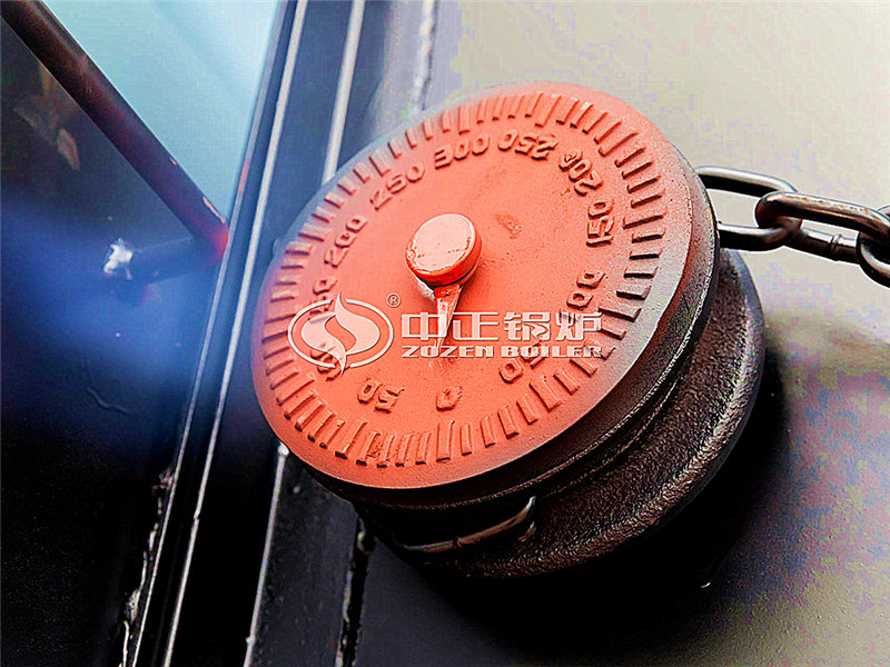 1噸燃?xì)庹羝仩t廠