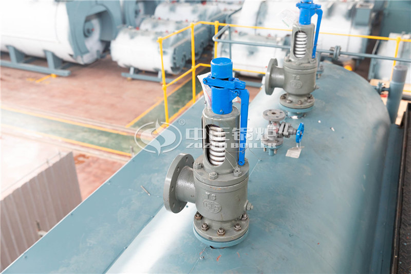 6噸燃?xì)庹羝仩t哪里有