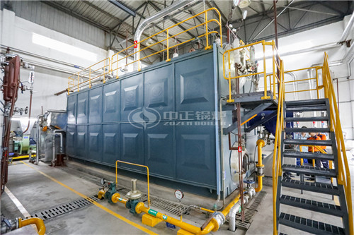 20噸燃?xì)庹羝仩t企業(yè)