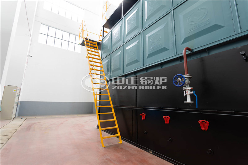 6噸燃?xì)庹羝仩t廠家