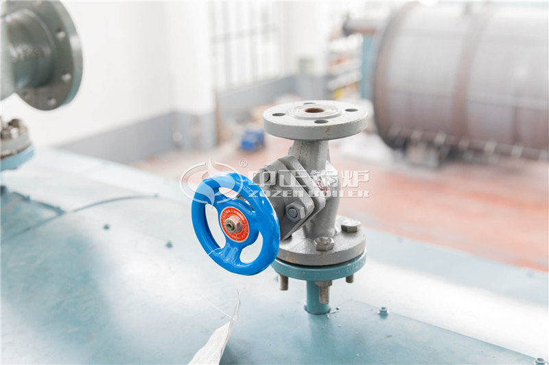 十噸燃?xì)庹羝仩t哪里有